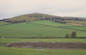 Derbyshire Dales National Nature Reserve. Copyright Natural England