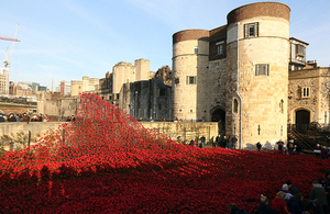 'Wave' poppies art installation