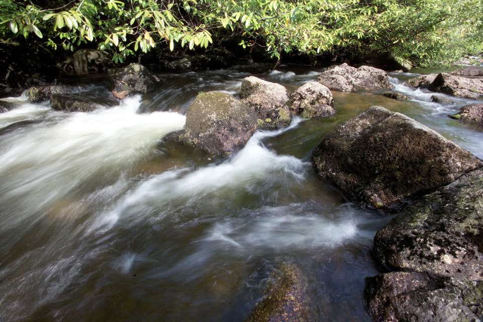 Water abstraction reforms published