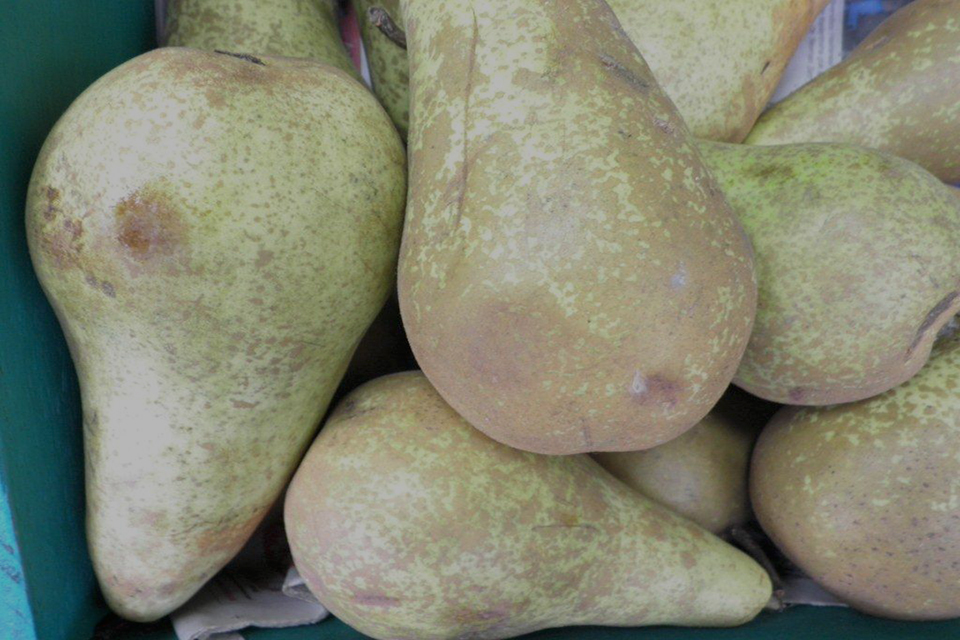 North London shopkeeper fined for rotten fruit and vegetables offences