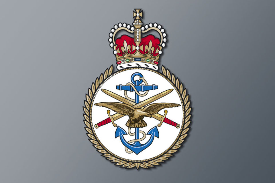 RAF Tornado incident - GOV.UK