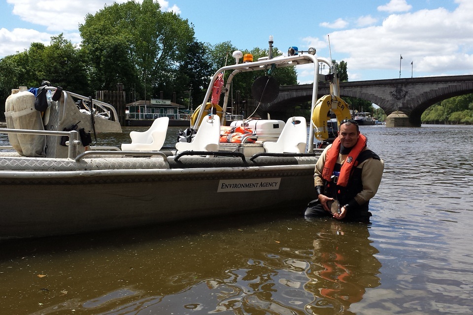 Fish survey reveals huge variety in River Thames