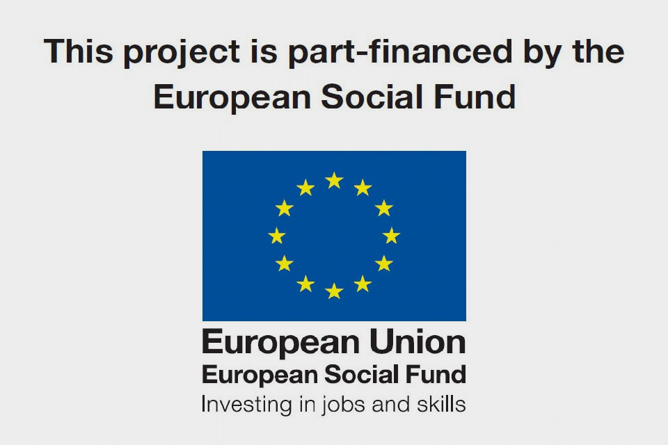 ESF poster â€“ This project is part-financed by the European Social Fund