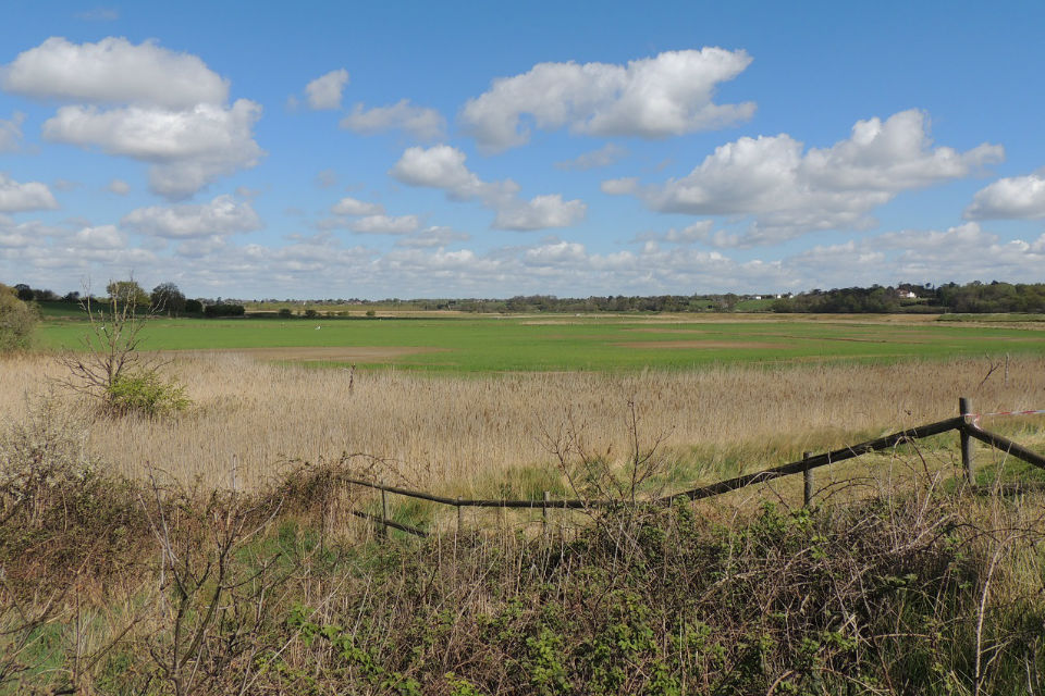 Work begins in Essex on new internationally important wetland