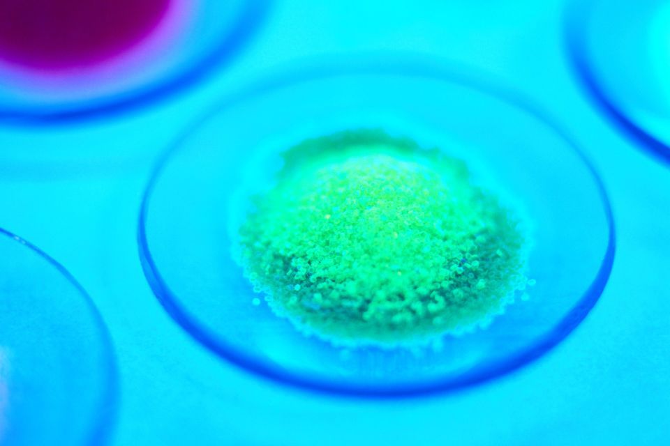 Life Sciences Strategy: one year on