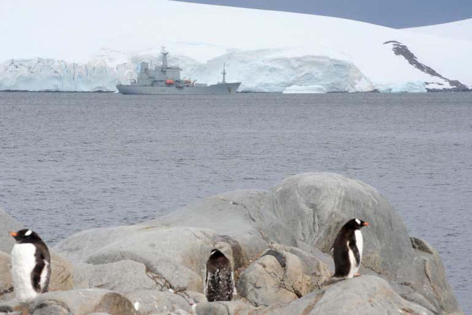 Gentoo penguins look on during HMS Scott's visit to Port Lockroy, Antarctica