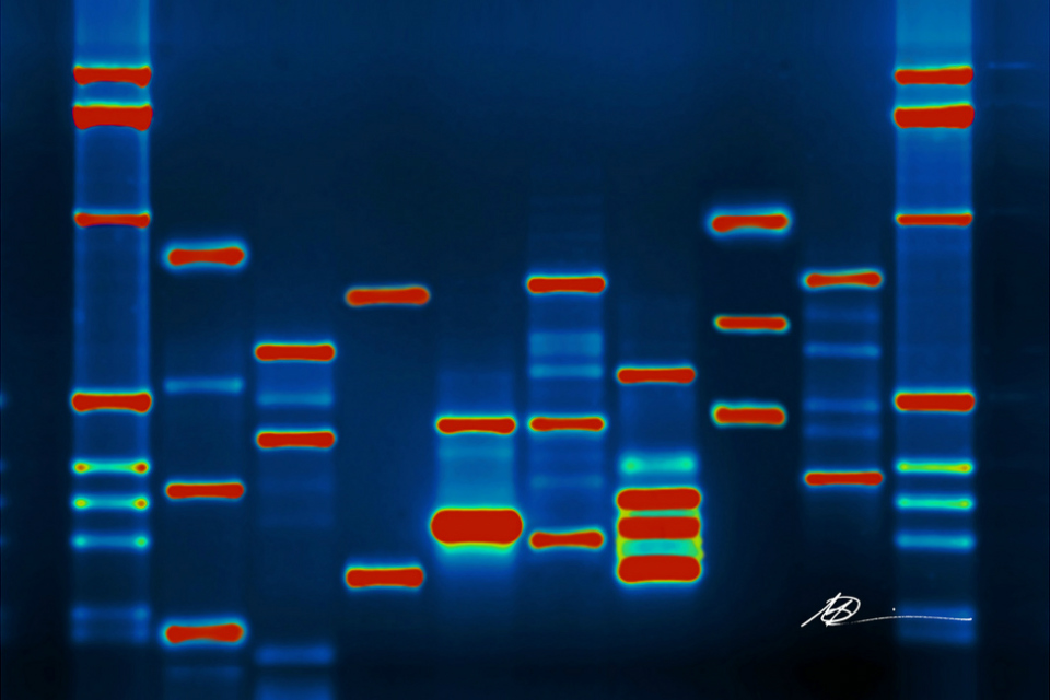 UK to capitalise on forensic science excellence