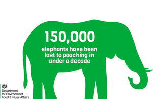 150,000 elephants have been lost to poaching in under a decade