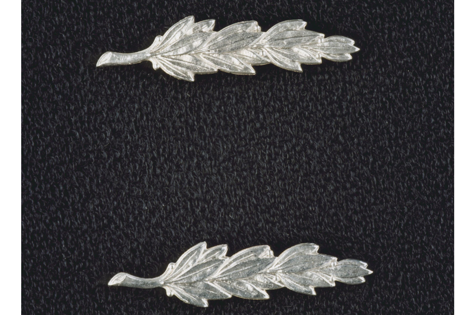 Civilian Gallantry List: 2013