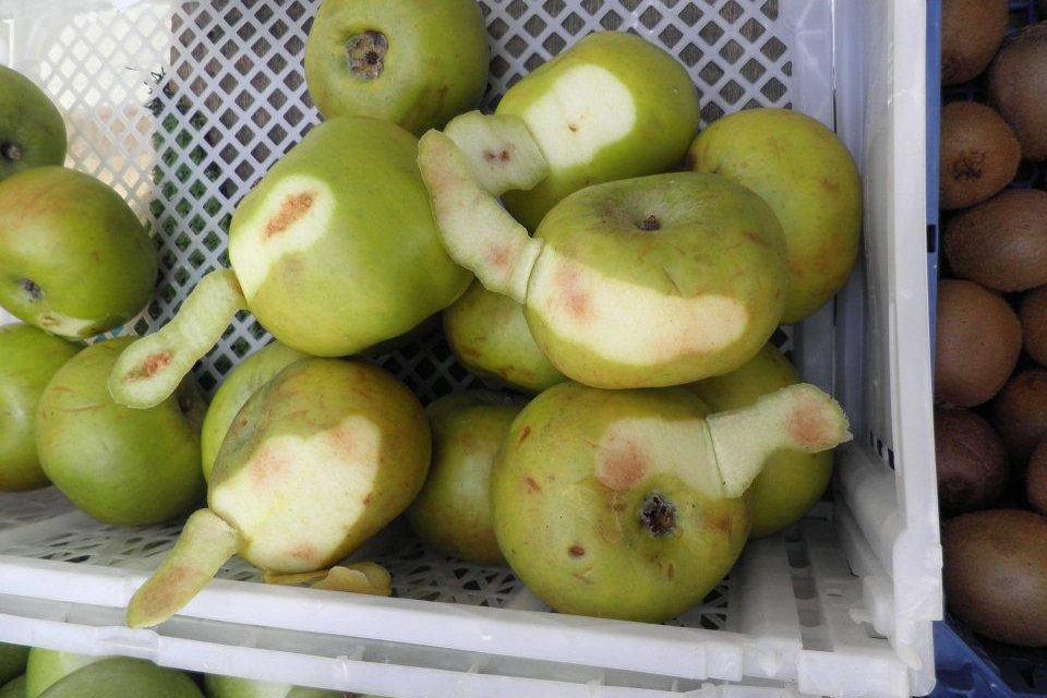 Kent shopkeeper fined for fruit and vegetable offences