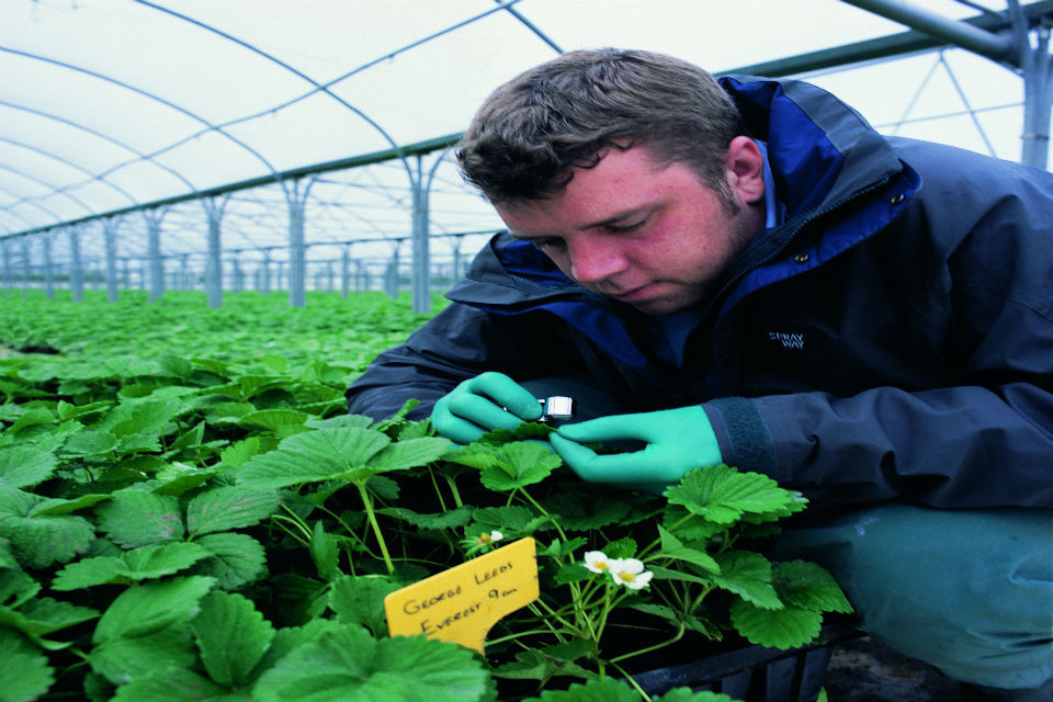 Future of Farming looking bright