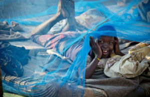 Child under a malaria net