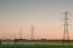 Electricity pylons by Ian Britton