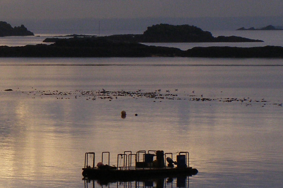 Dalgety Bay contamination control progress continues with survey work