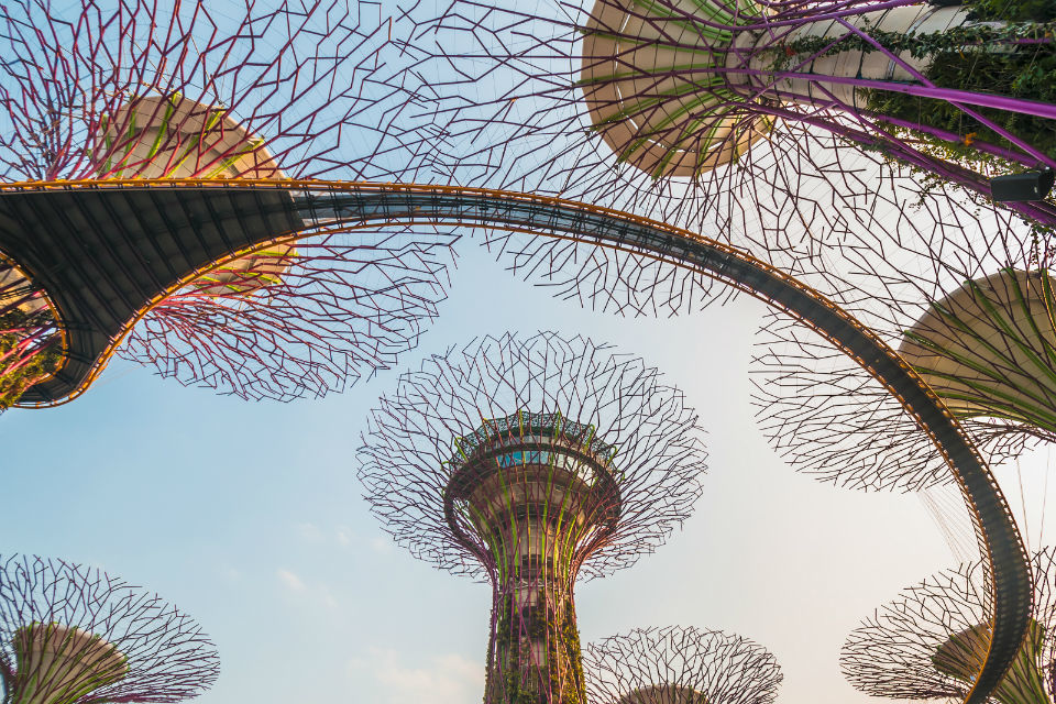 Urban innovation in Singapore: opportunities for the UK