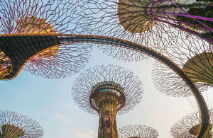 Supertrees at Gardens by the Bay in Singapore