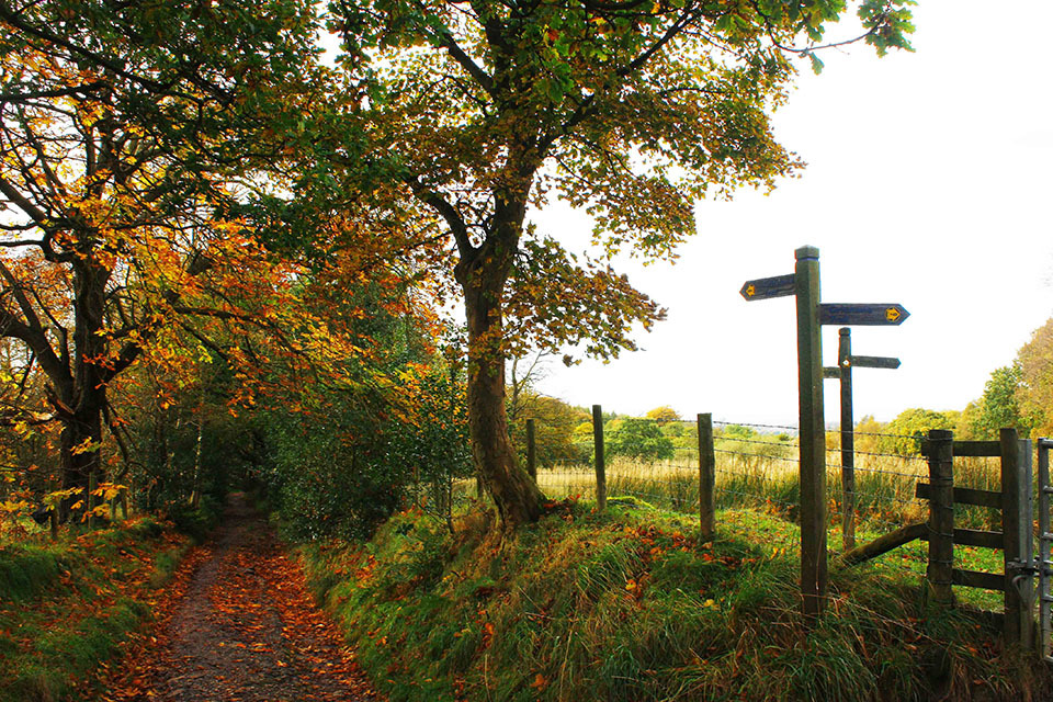 Survey reveals importance of outdoor visits in England