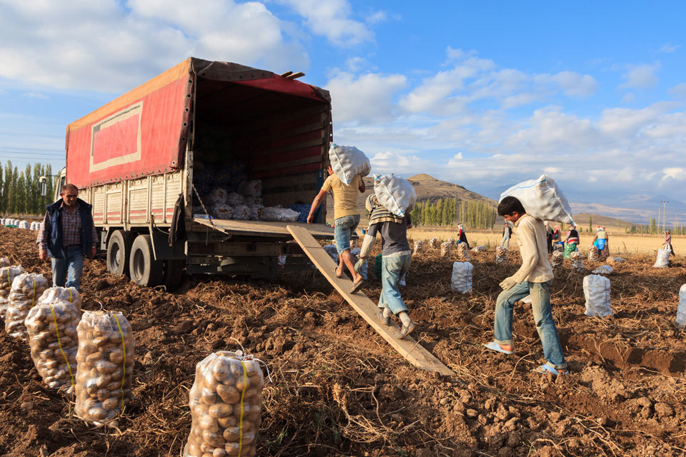 Agri food innovation in Turkey: apply for business funding