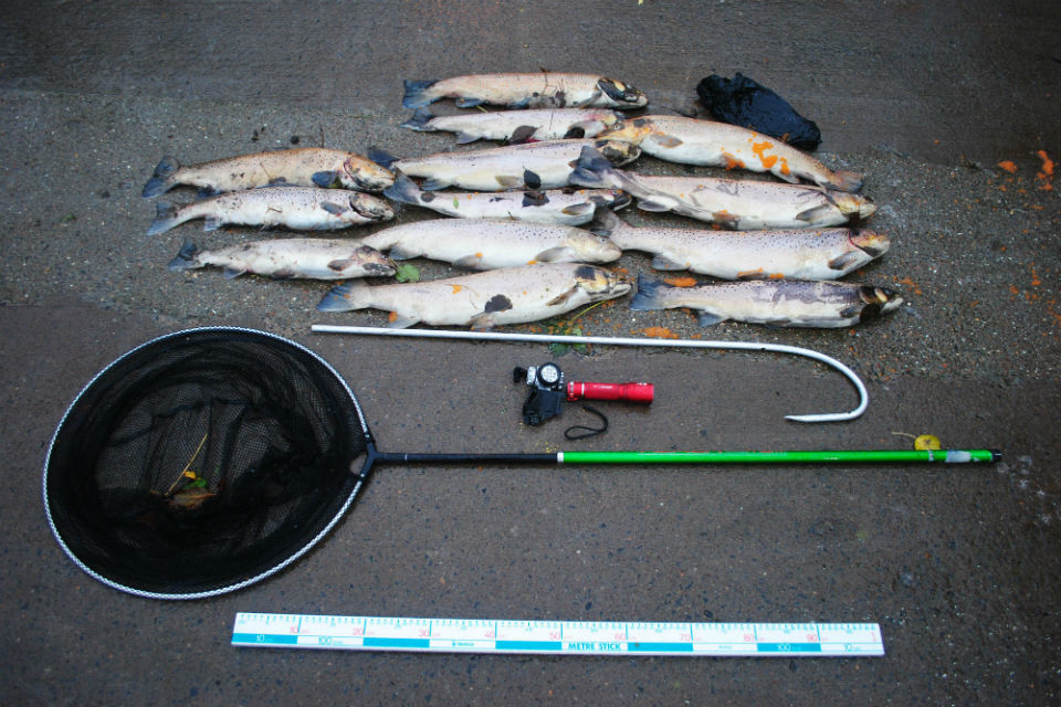 Man arrested for illegal poaching