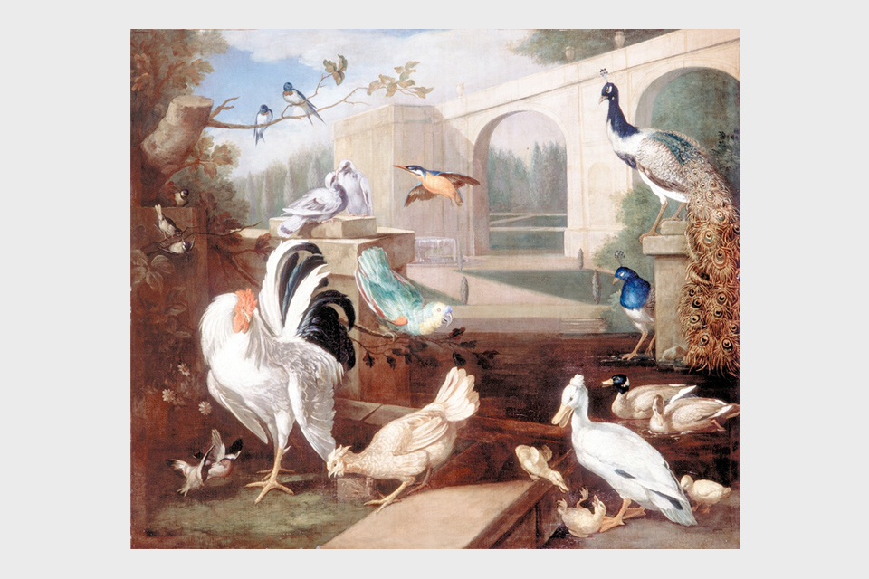 Various types of Birds with Viaduct