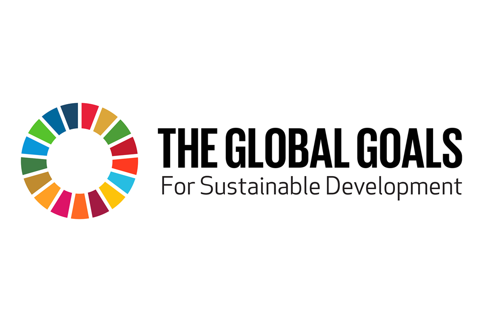 What are the Global Goals?