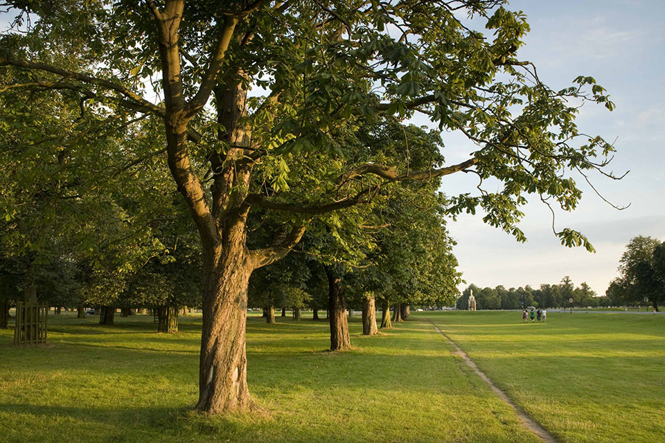 Site of Special Scientific Interest status for London parks is confirmed