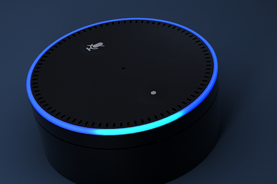 DVLA gives a shout out on Alexa