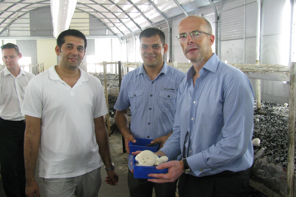 Ambassador's visit to Szendrőlád mushroom farm