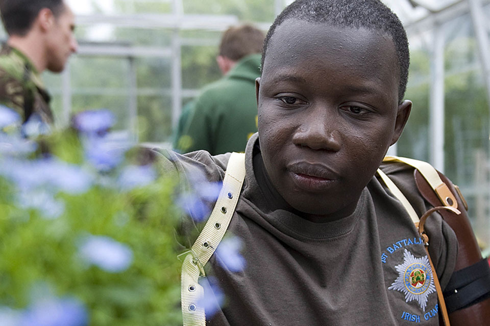 Injured troops take up gardening therapy