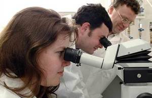 Scientists using microscopes