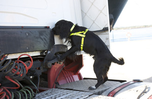 A Border Force detector dog sniffing out and trouble at the UK border