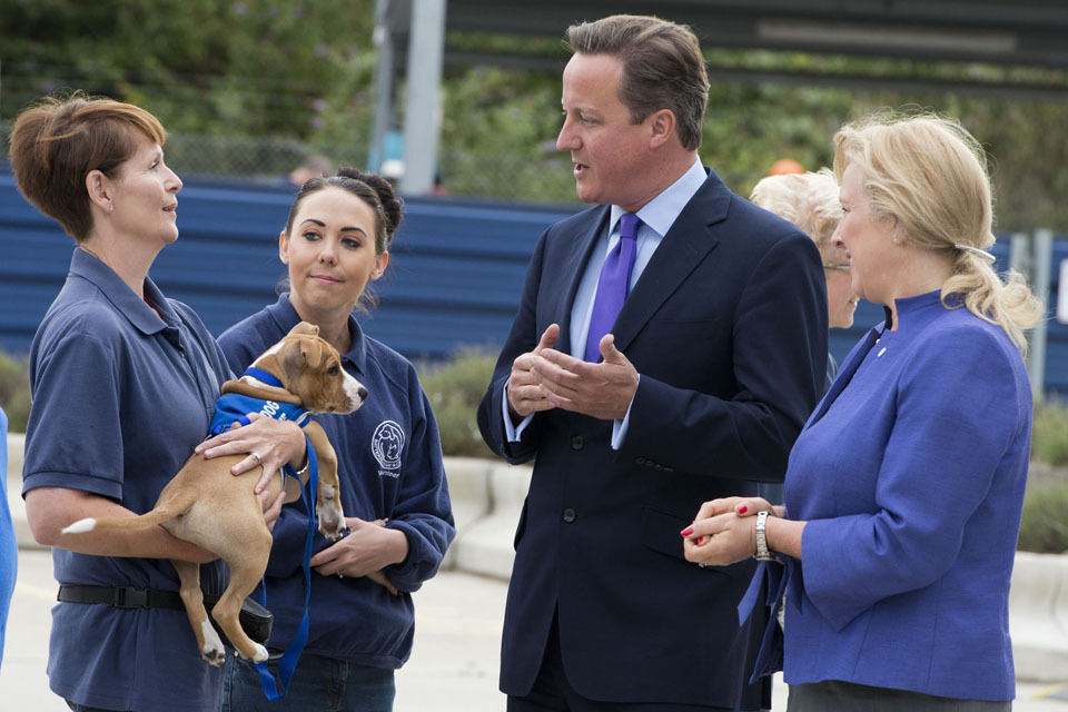 Battersea Dogs & Cats Home: David Cameron meets 1,000th volunteer
