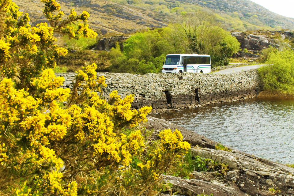 Operational note: statutory guidance and directions for local bus consultation