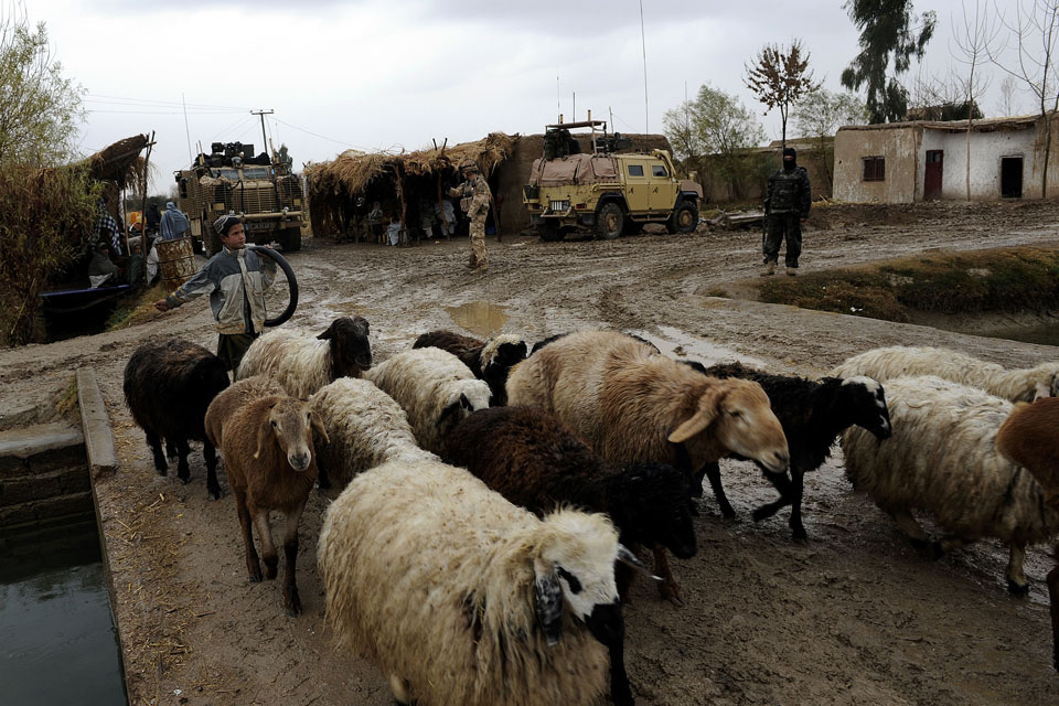 A young Afghan farmer ushers his sheep past a checkpoint