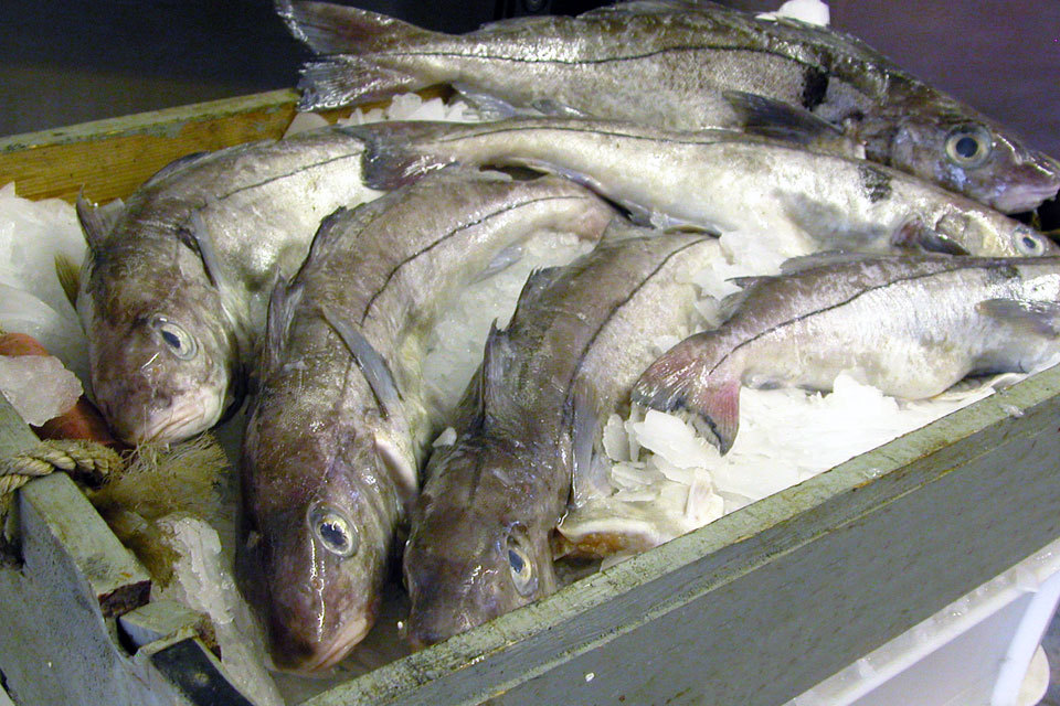 UK lobbies for fair fisheries deal in Europe