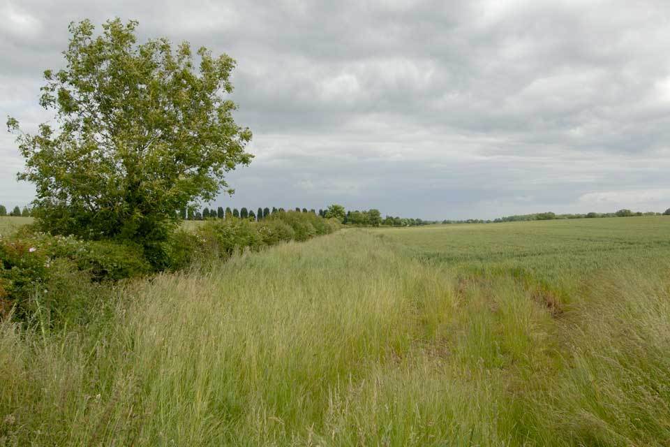 Animal and Plant Health Agency is launched