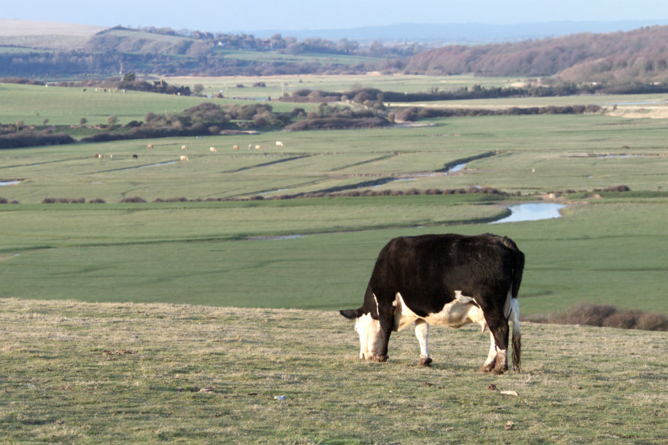 Prime Minister: One nation government backs British farmers