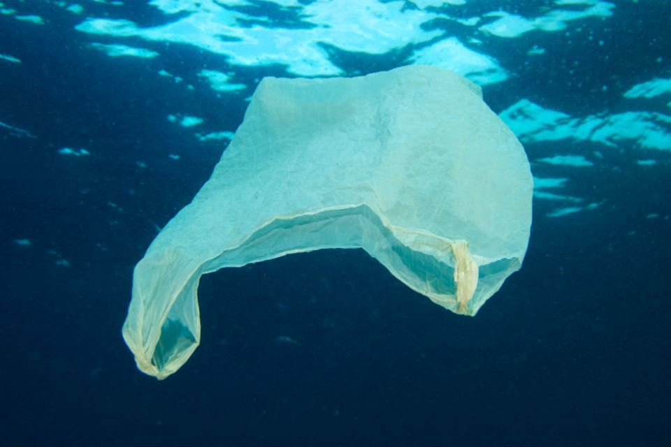 Environment Secretary pledges action on ocean plastics