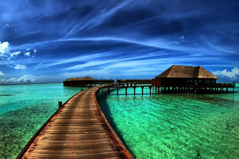 HMRC releases most optimistic Self Assessment expense claims