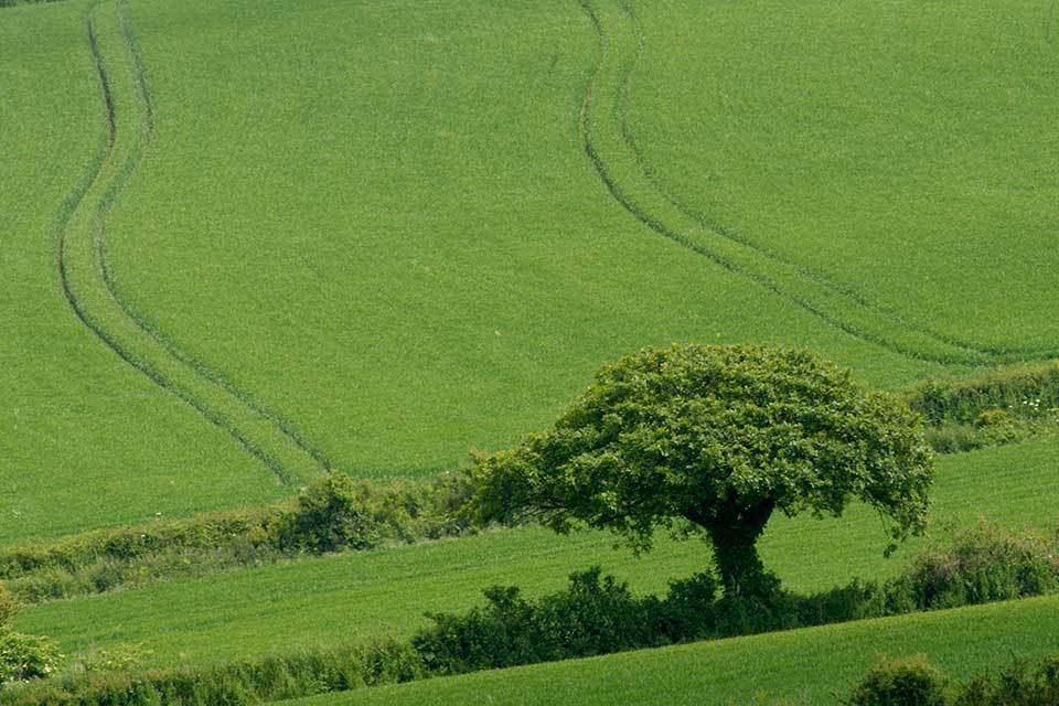 APHA awards contracts for TB testing and other veterinary services in England