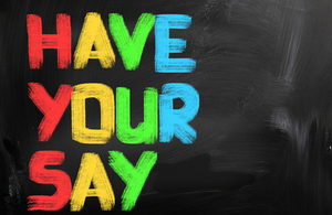 Have your say logo