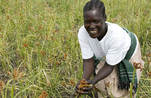 Photograph of a farmer in Uganda