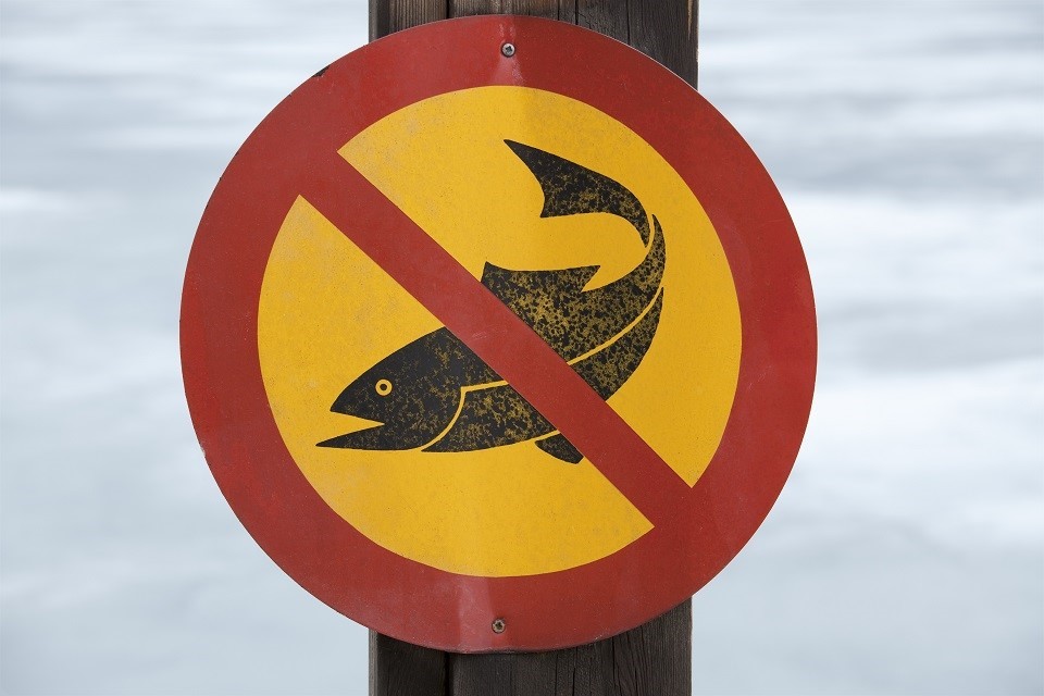 MMO and FCO host joint IUU workshop with the UK insurance industry