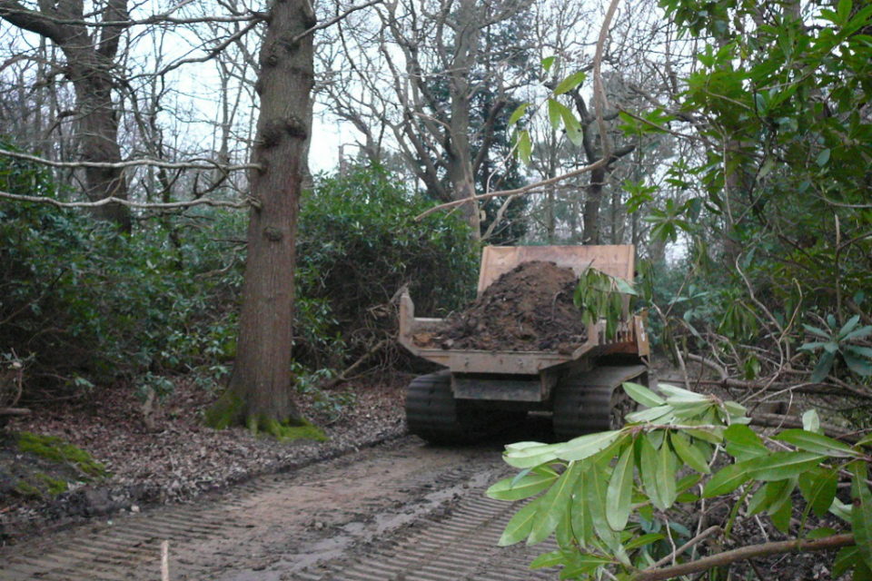 woodland relocation