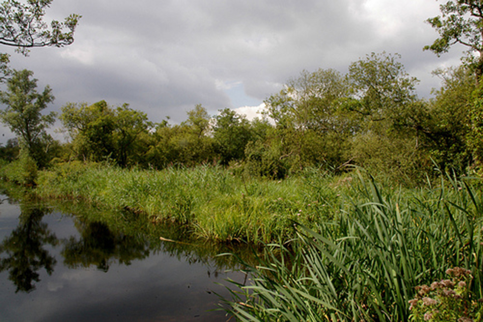 Bure Marshes restoration receives Heritage Lottery Fund grant