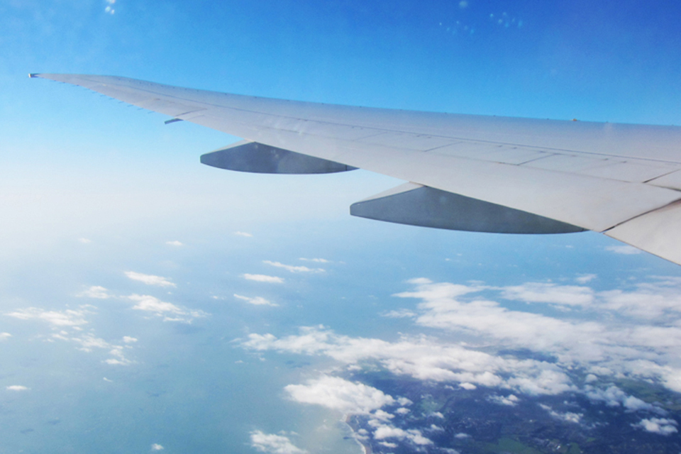 Sharm el-Sheikh: government statement 13 November 2015