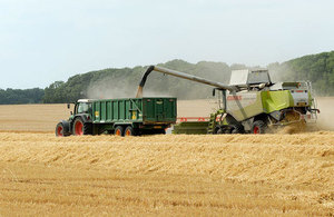 Farmers harvesting cereals