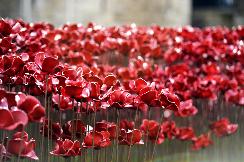 Field of remembrance of poppies at the Tower of London