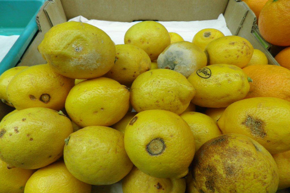 Burnley fruit and veg store fined for failing to meet fresh produce standards