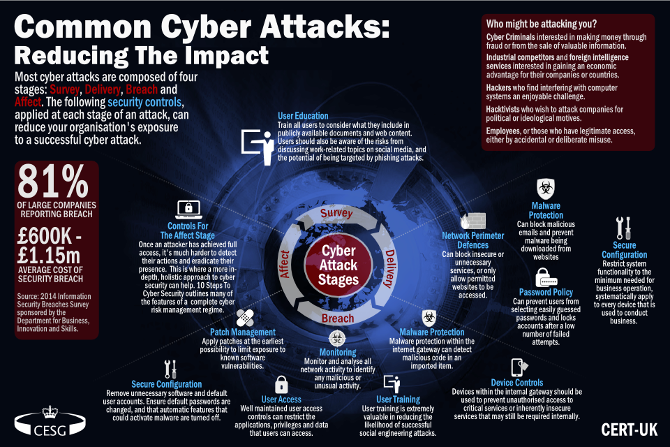 Common cyber attacks infographic